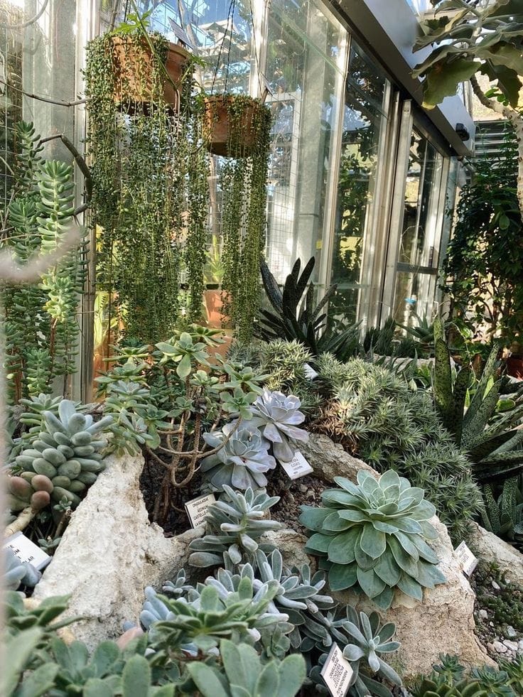 Green space at Lund Botanical Garden with walking paths and plants