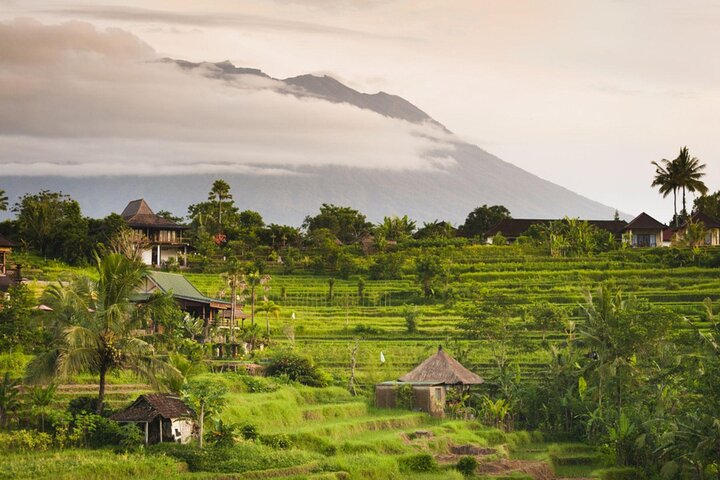 The Jatiluwih Rice Terraces are one of Bali’s most breathtaking landscapes, with wide green layers stretching across the hills.