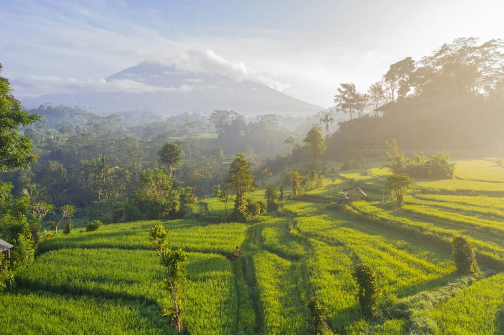 The Jatiluwih Rice Terraces are one of Bali’s most breathtaking landscapes, with wide green layers stretching across the hills.