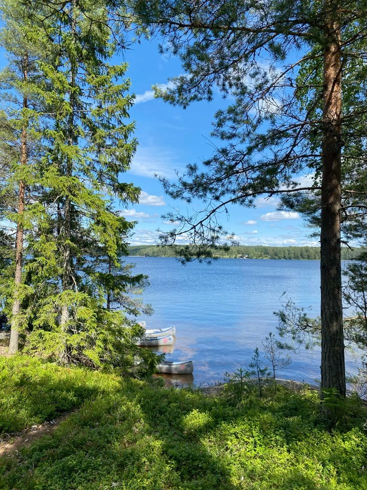 Canoe resting near a peaceful lake in Sweden during summer